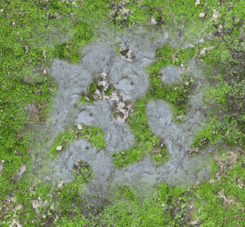 Grass Texture and Snow texture being blended together into patches of each